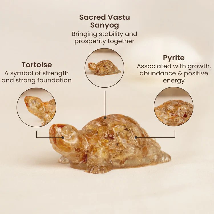 Vastu Citrine Tortoise (Kachhua) - Astroguruji