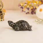 Vastu pyrite tortoise for wealth and stability - AstroGuruji
